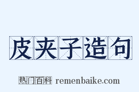 皮夹子造句是什么意思的图片